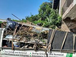 Shed Removal in Yadkinville, NC